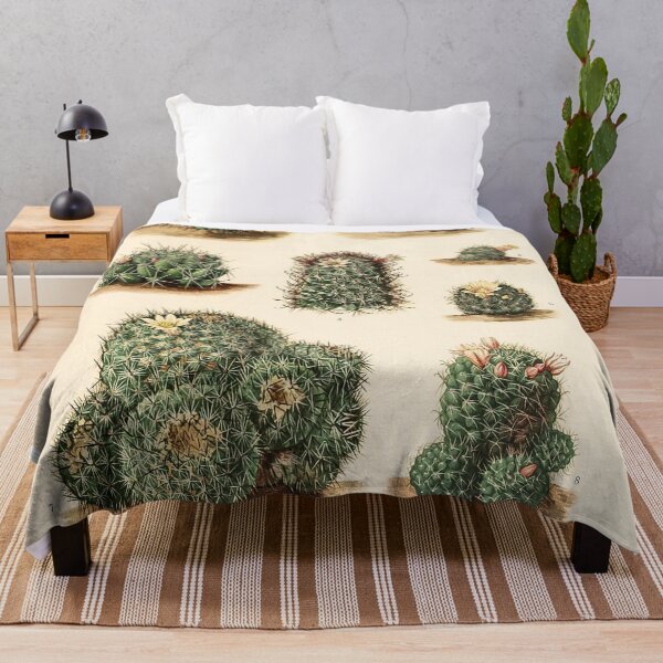 Item preview, The Cactaceae Vol. 4 1919 II designed and sold by Gilmour-Prints.