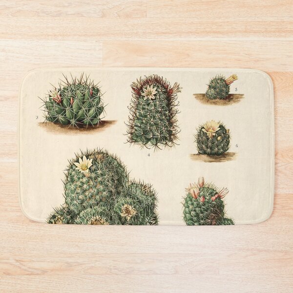 Item preview, The Cactaceae Vol. 4 1919 II designed and sold by Gilmour-Prints.
