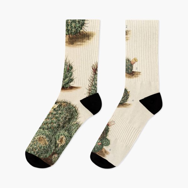 Item preview, The Cactaceae Vol. 4 1919 II designed and sold by Gilmour-Prints.