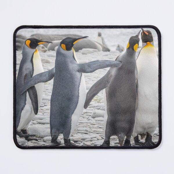 Item preview, Group of King Penguins Having a Confab designed and sold by PhotoArt by Joan Carroll.