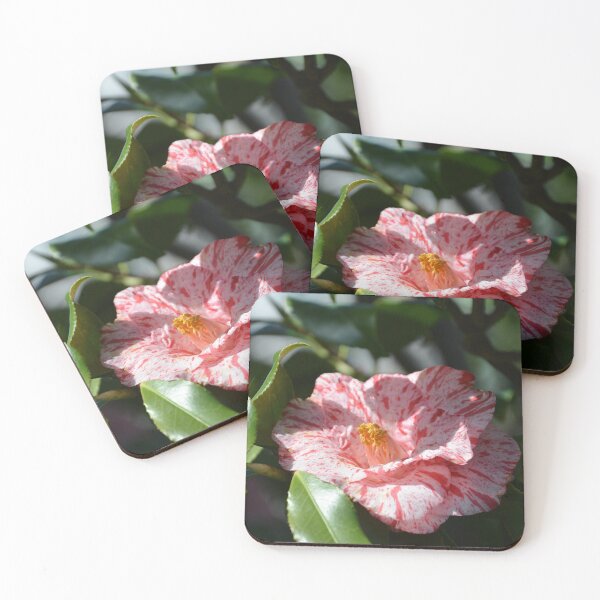 Item preview, Speckled Pink and White Camellia Flower designed and sold by MiraNadaPrints.