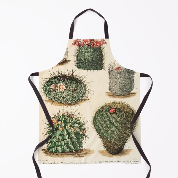 Item preview, Vintage Cactus Print No. 34 1919 designed and sold by Gilmour-Prints.