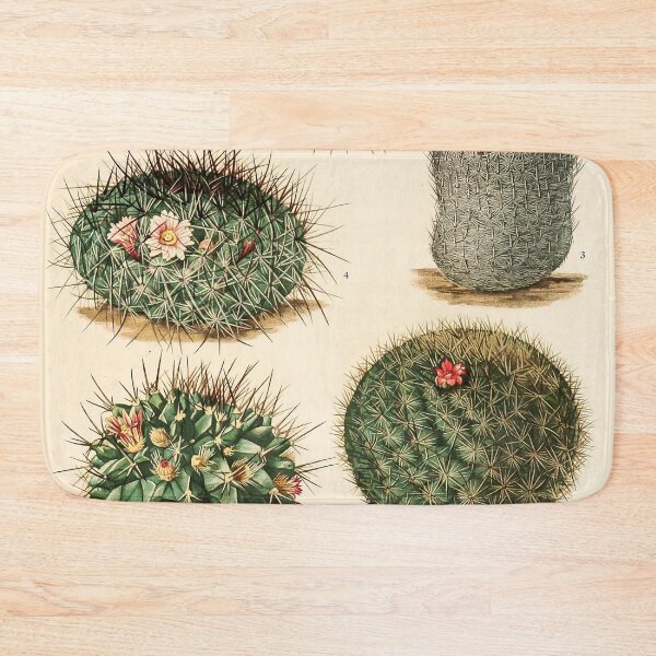 Item preview, Vintage Cactus Print No. 34 1919 designed and sold by Gilmour-Prints.