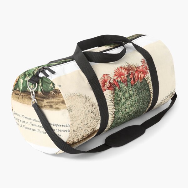 Item preview, Vintage Cactus Print No. 34 1919 designed and sold by Gilmour-Prints.
