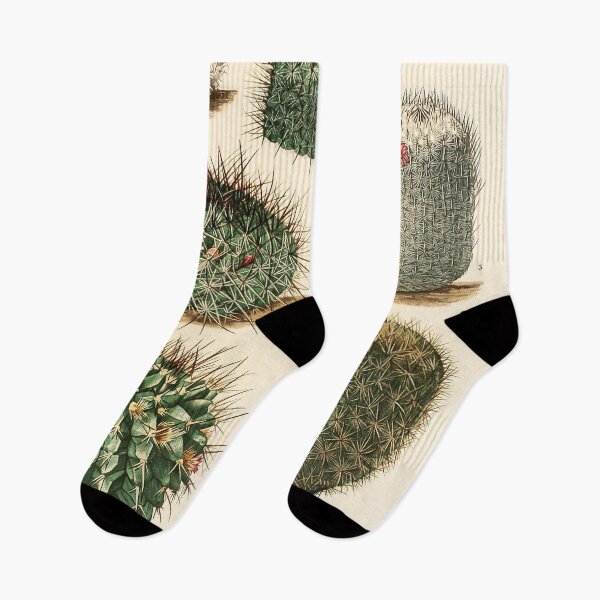 Item preview, Vintage Cactus Print No. 34 1919 designed and sold by Gilmour-Prints.