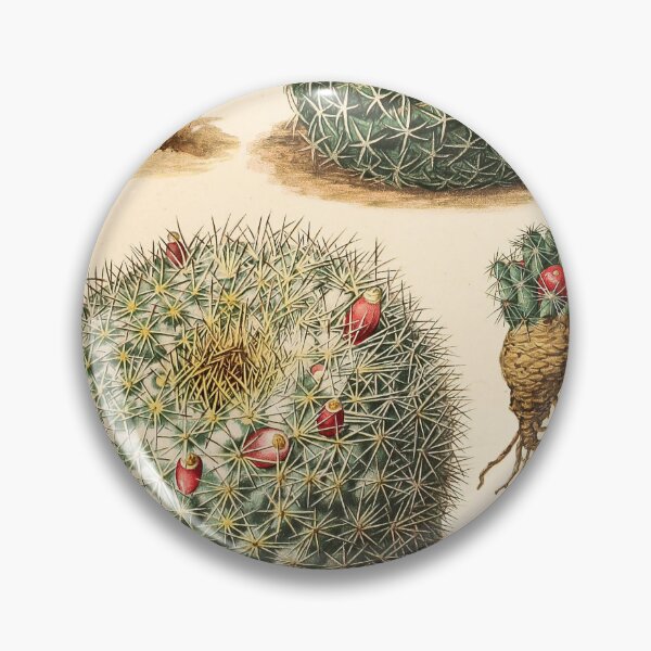 Item preview, The Cactaceae Vol. 4 1919 III designed and sold by Gilmour-Prints.