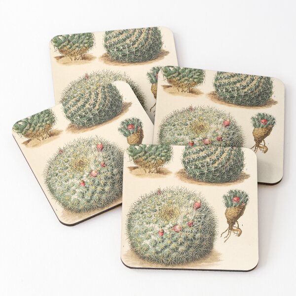 Item preview, The Cactaceae Vol. 4 1919 III designed and sold by Gilmour-Prints.