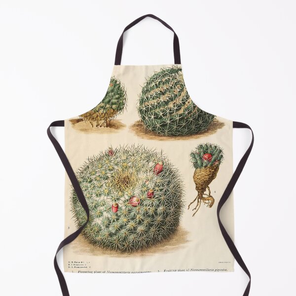 Item preview, The Cactaceae Vol. 4 1919 III designed and sold by Gilmour-Prints.