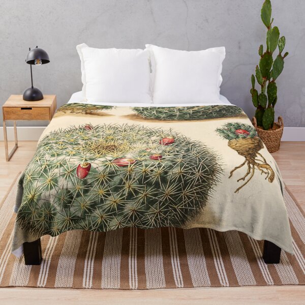 Item preview, The Cactaceae Vol. 4 1919 III designed and sold by Gilmour-Prints.