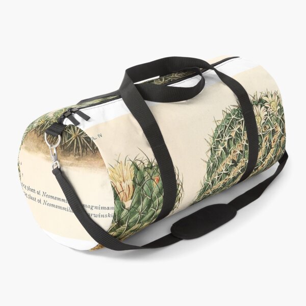 Item preview, The Cactaceae Vol. 4 1919 III designed and sold by Gilmour-Prints.
