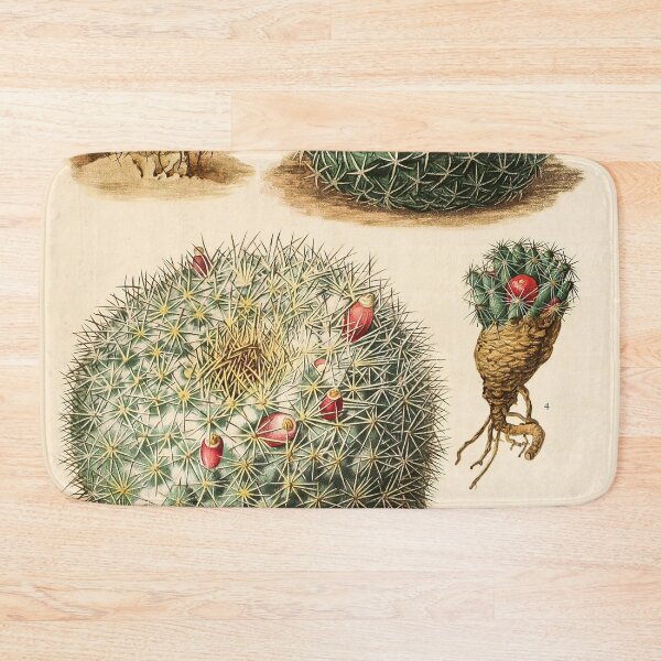 Item preview, The Cactaceae Vol. 4 1919 III designed and sold by Gilmour-Prints.