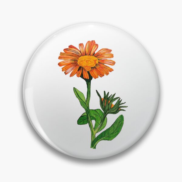 Item preview, Garden Marigold - Calendula officinalis designed and sold by kindbotanicals.