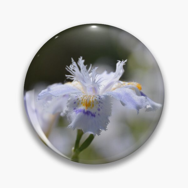 Item preview, Fringed Japanese Iris Bloom in Soft Light designed and sold by MiraNadaPrints.