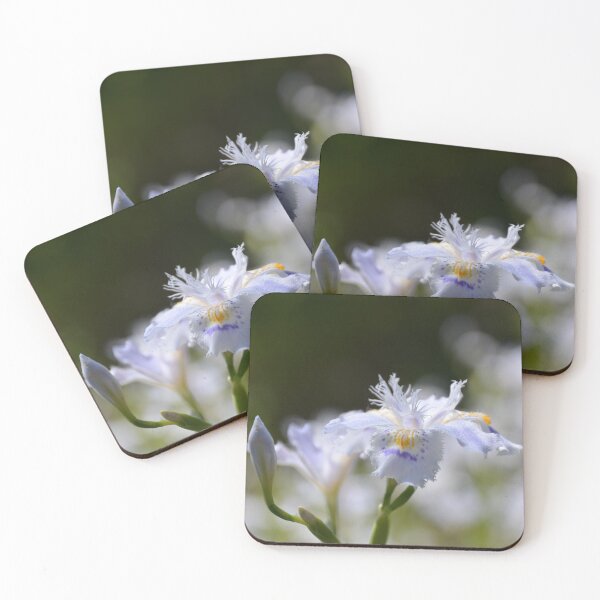 Item preview, Fringed Japanese Iris Bloom in Soft Light designed and sold by MiraNadaPrints.