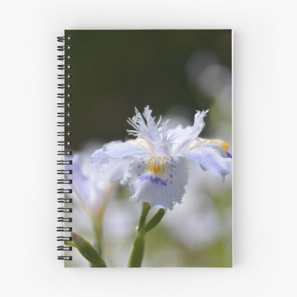 Item preview, Fringed Japanese Iris Bloom in Soft Light designed and sold by MiraNadaPrints.