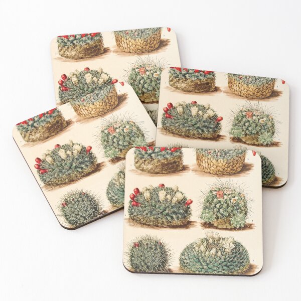 Item preview, The Cactaceae Vol. 4 1919 IV designed and sold by Gilmour-Prints.