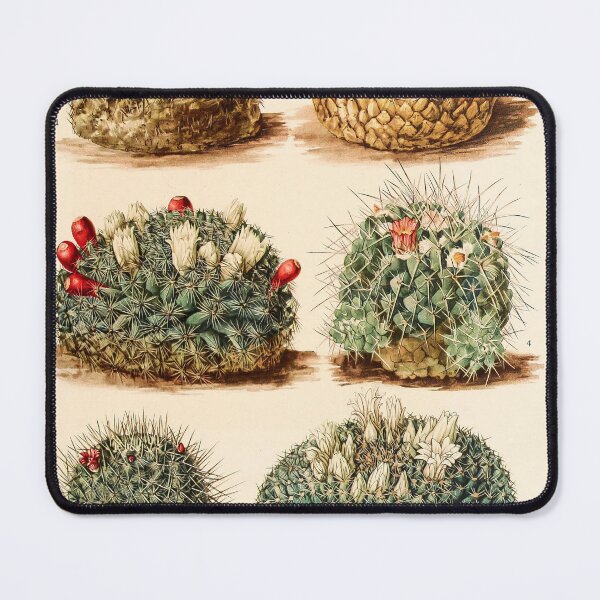 Item preview, The Cactaceae Vol. 4 1919 IV designed and sold by Gilmour-Prints.
