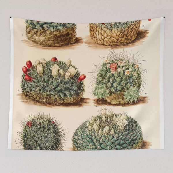 Item preview, The Cactaceae Vol. 4 1919 IV designed and sold by Gilmour-Prints.