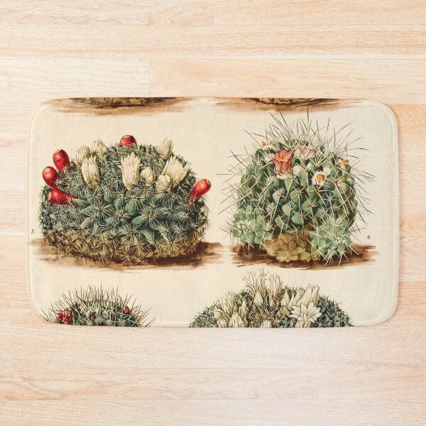 Item preview, The Cactaceae Vol. 4 1919 IV designed and sold by Gilmour-Prints.