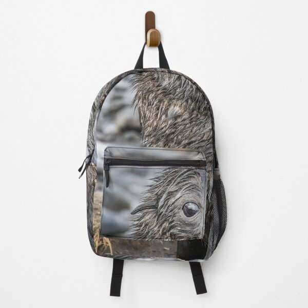Item preview, Wet Fur Seal Pup designed and sold by PhotoArt by Joan Carroll.