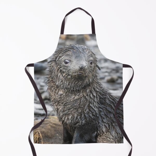 Item preview, Wet Fur Seal Pup designed and sold by PhotoArt by Joan Carroll.