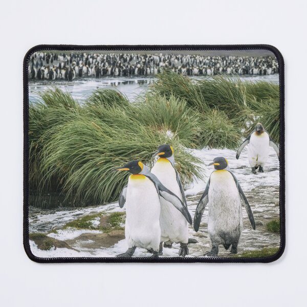 Item preview, King Penguins on a Snowy Path South Georgia Island designed and sold by PhotoArt by Joan Carroll.