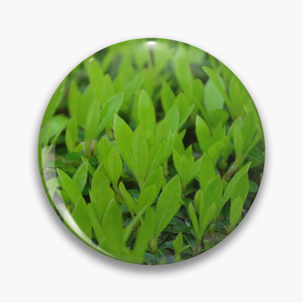Item preview, Lush Green Hedge Leaves in Spring Growth designed and sold by MiraNadaPrints.