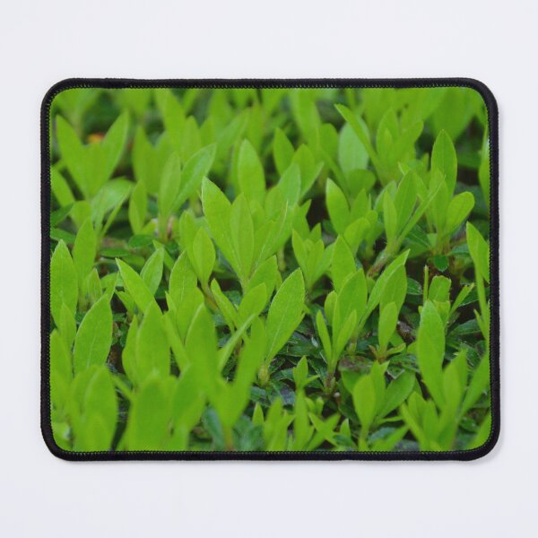 Item preview, Lush Green Hedge Leaves in Spring Growth designed and sold by MiraNadaPrints.