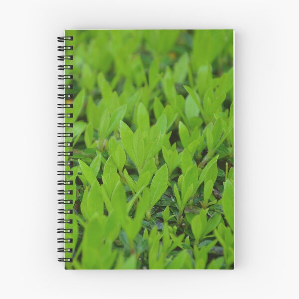 Item preview, Lush Green Hedge Leaves in Spring Growth designed and sold by MiraNadaPrints.