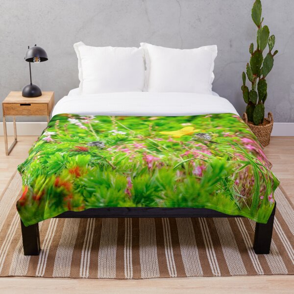 Item preview, Honeyeaters in Bottle Brush, Bushy Lakes, Margaret River designed and sold by Dave Catley.