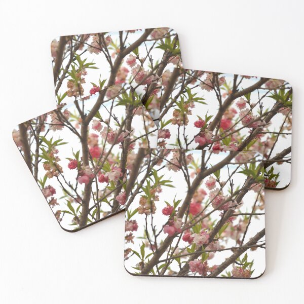 Item preview, Pink Double Cherry Blossoms on Spring Branches designed and sold by MiraNadaPrints.