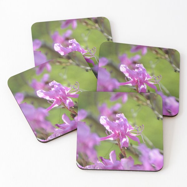 Item preview, Vibrant Purple Azalea Bloom in Spring Light designed and sold by MiraNadaPrints.