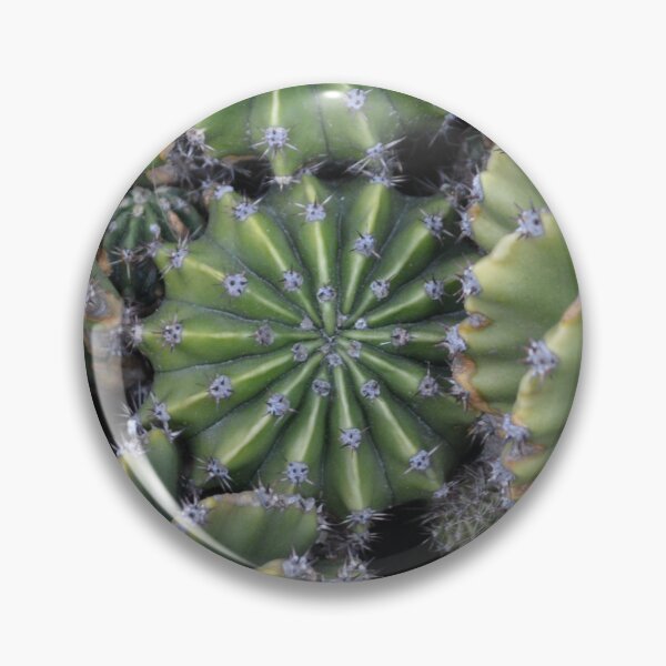 Item preview, Geometric Star Barrel Cactus Cluster Top View designed and sold by MiraNadaPrints.