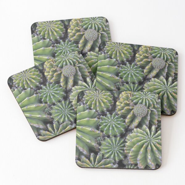 Item preview, Geometric Star Barrel Cactus Cluster Top View designed and sold by MiraNadaPrints.
