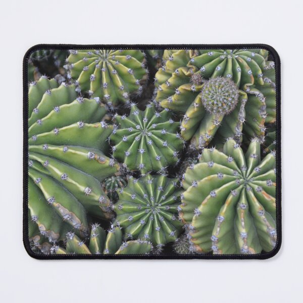 Item preview, Geometric Star Barrel Cactus Cluster Top View designed and sold by MiraNadaPrints.