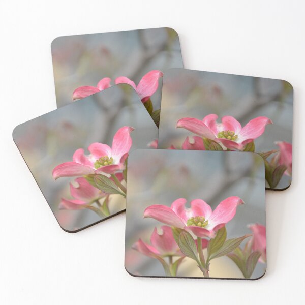 Item preview, Bright Pink Dogwood Flower in Spring Light designed and sold by MiraNadaPrints.