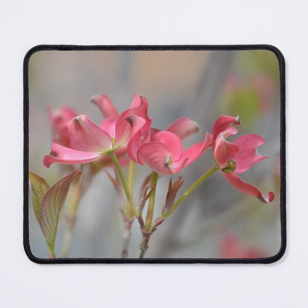 Item preview, Pink Dogwood Blossoms Standing on Slender Stems designed and sold by MiraNadaPrints.