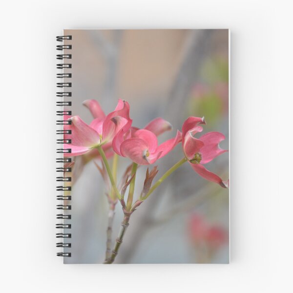 Item preview, Pink Dogwood Blossoms Standing on Slender Stems designed and sold by MiraNadaPrints.
