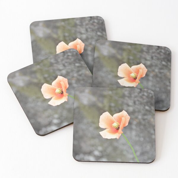 Item preview, Solitary Orange Poppy Blooming Against Stone designed and sold by MiraNadaPrints.