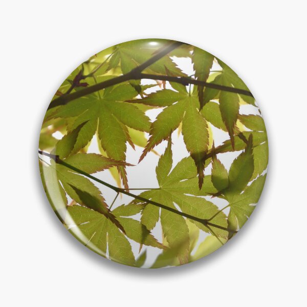 Item preview, Luminous Green Japanese Maple Canopy In Sunlight designed and sold by MiraNadaPrints.
