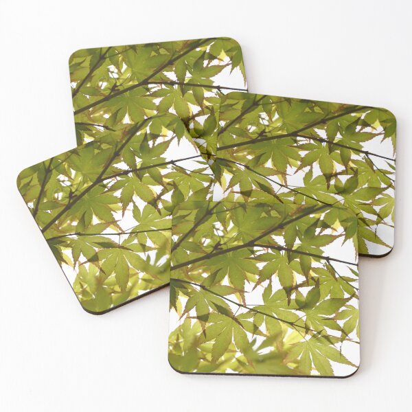 Item preview, Luminous Green Japanese Maple Canopy In Sunlight designed and sold by MiraNadaPrints.