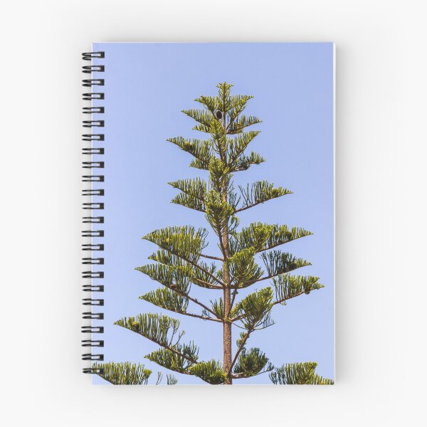 Item preview, Tall Pine Tree Top Against Clear Blue Sky With Layered Branches And Green Needles designed and sold by Nmallia.
