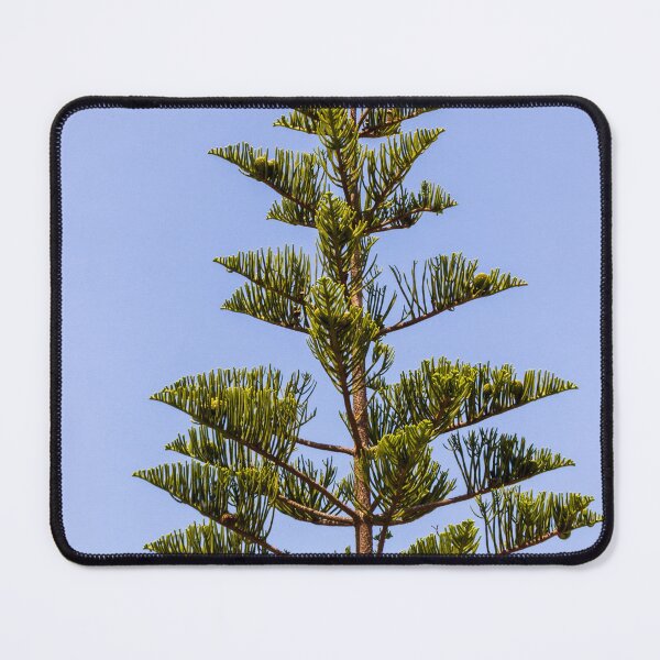 Item preview, Tall Pine Tree Top Against Clear Blue Sky With Layered Branches And Green Needles designed and sold by Nmallia.