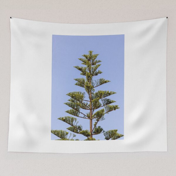 Item preview, Tall Pine Tree Top Against Clear Blue Sky With Layered Branches And Green Needles designed and sold by Nmallia.