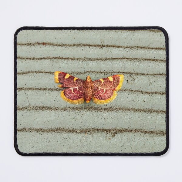 Item preview, Clover Hayworm Moth designed and sold by Alice Becky Kahn.