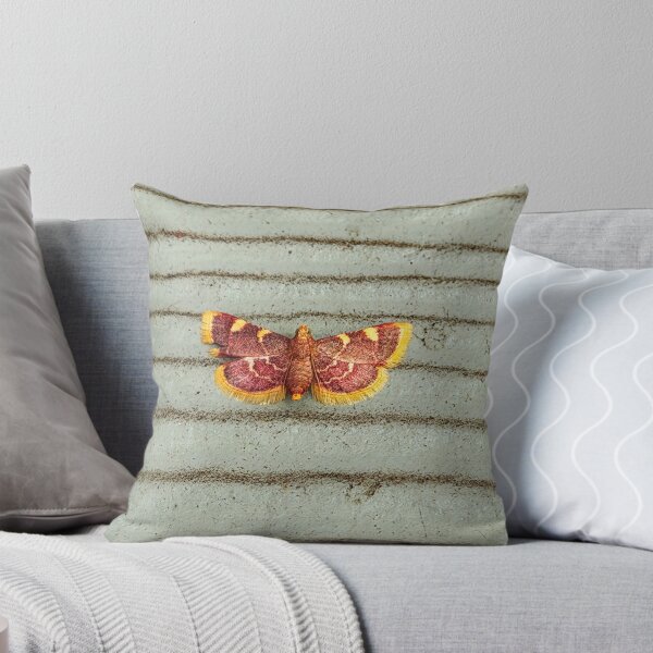 Item preview, Clover Hayworm Moth designed and sold by Alice  Becky Kahn.