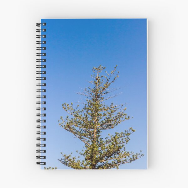 Item preview, Tall Pine Tree Top Against Clear Blue Sky With Layered Branches And Green Needles designed and sold by Nmallia.