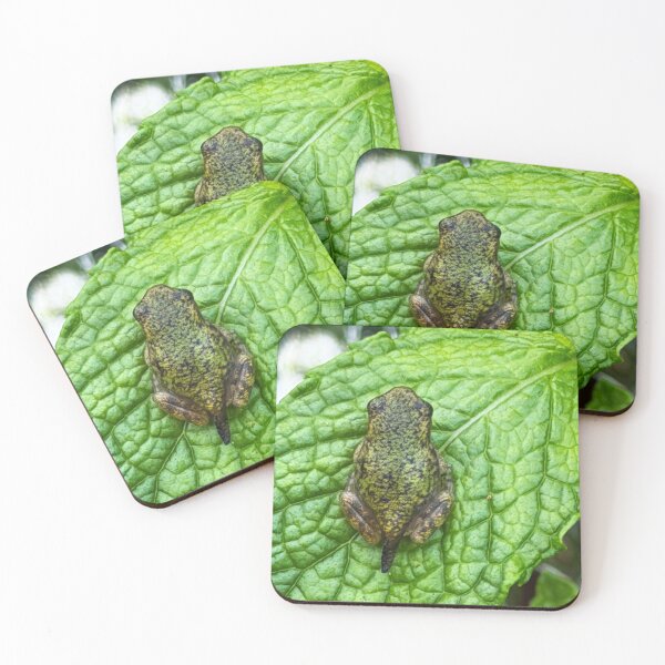 Item preview, Frogpole designed and sold by Alice  Becky Kahn.
