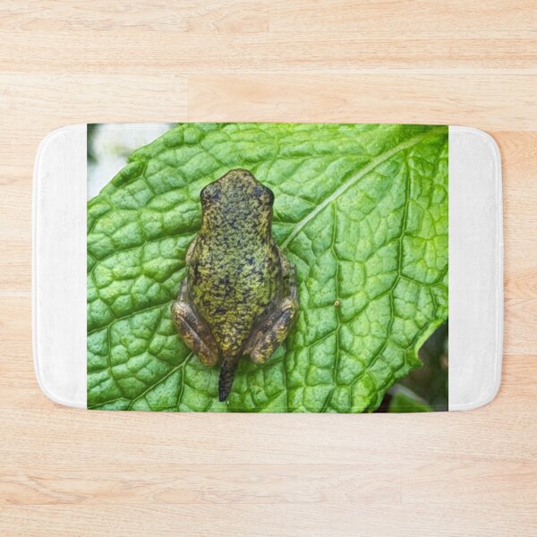 Item preview, Frogpole designed and sold by Alice  Becky Kahn.