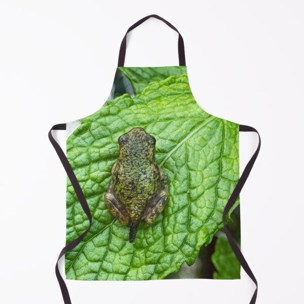 Item preview, Frogpole designed and sold by Alice  Becky Kahn.